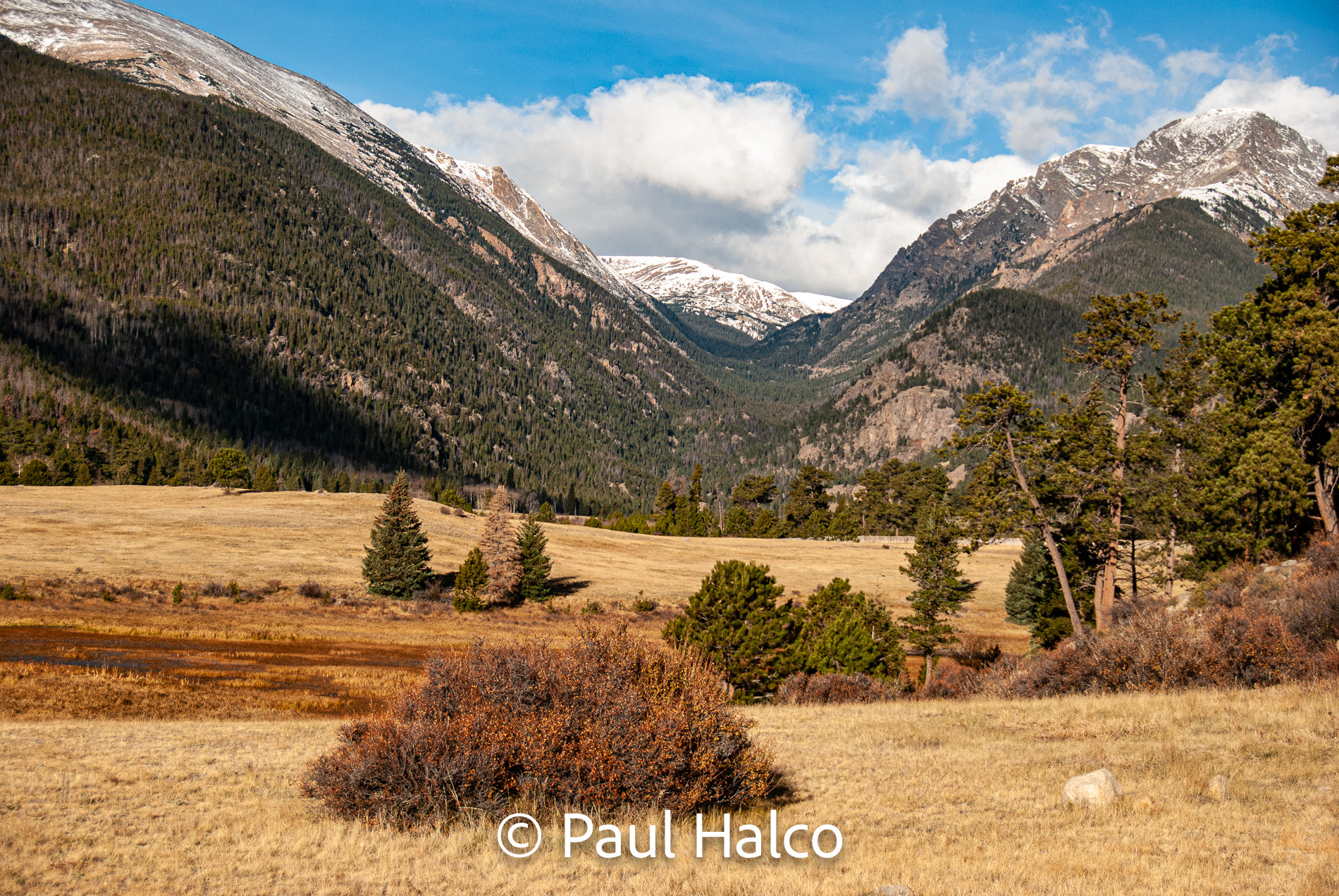Paul Halco - Rocky Mountain NP-10
